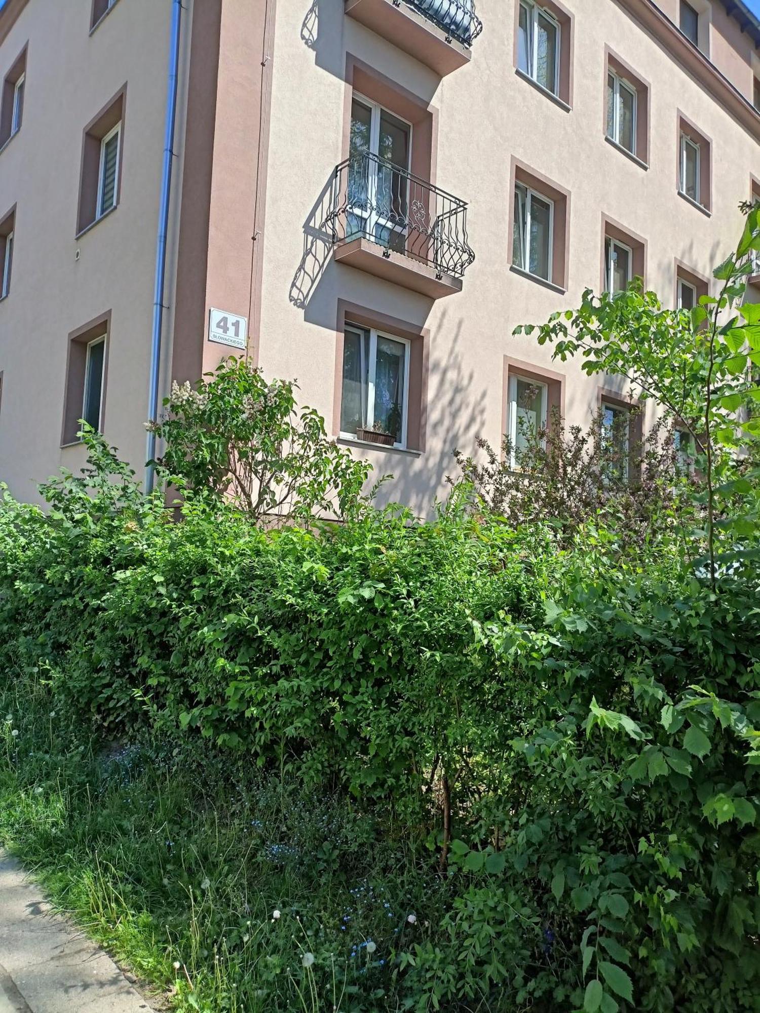 Apartament Slowackiego 41 Jelenia Góra Екстериор снимка