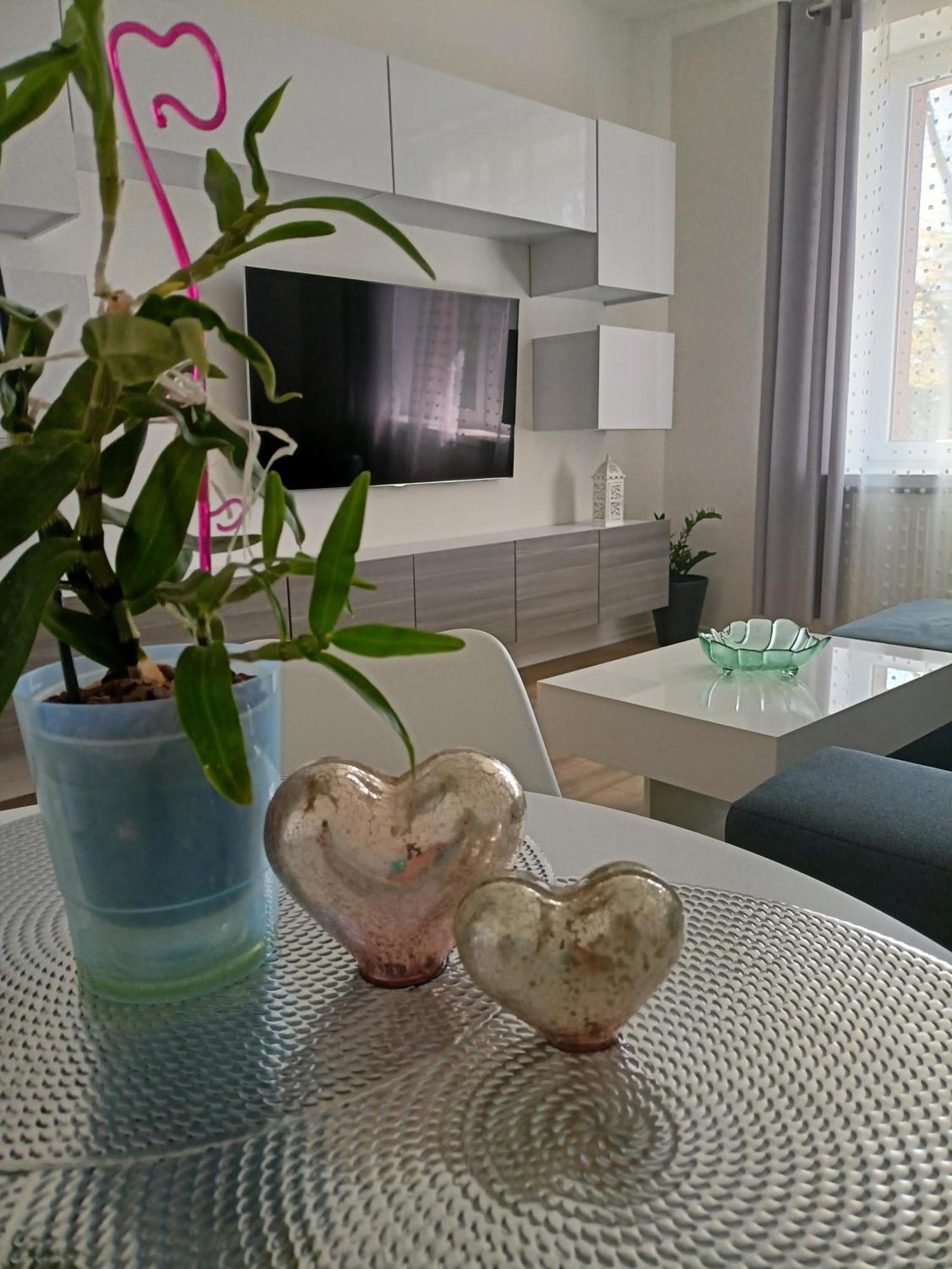 Apartament Slowackiego 41 Jelenia Góra Екстериор снимка